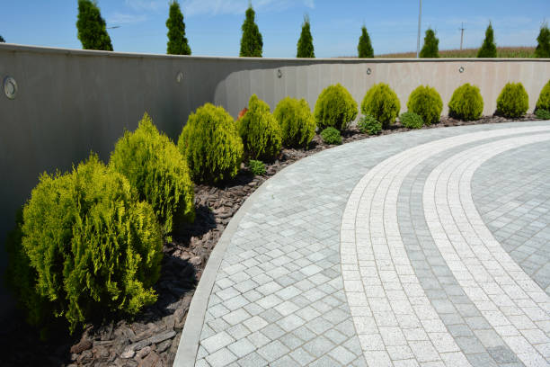 Professional Driveway Pavers in Allendale, SC