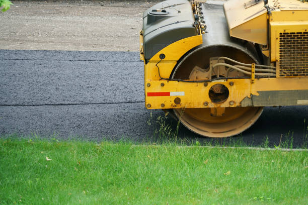 Best Professional Driveway Pavers  in Allendale, SC
